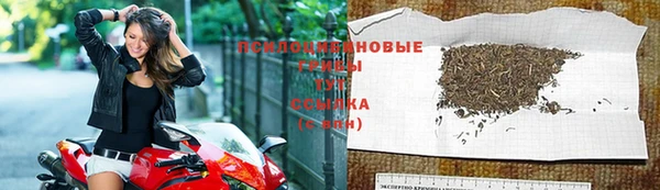 ГАЛЛЮЦИНОГЕННЫЕ ГРИБЫ Россошь