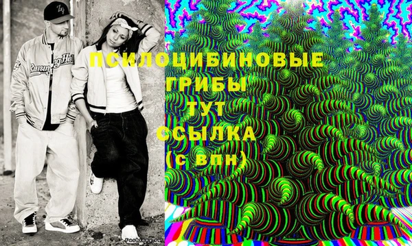 крисы Рославль